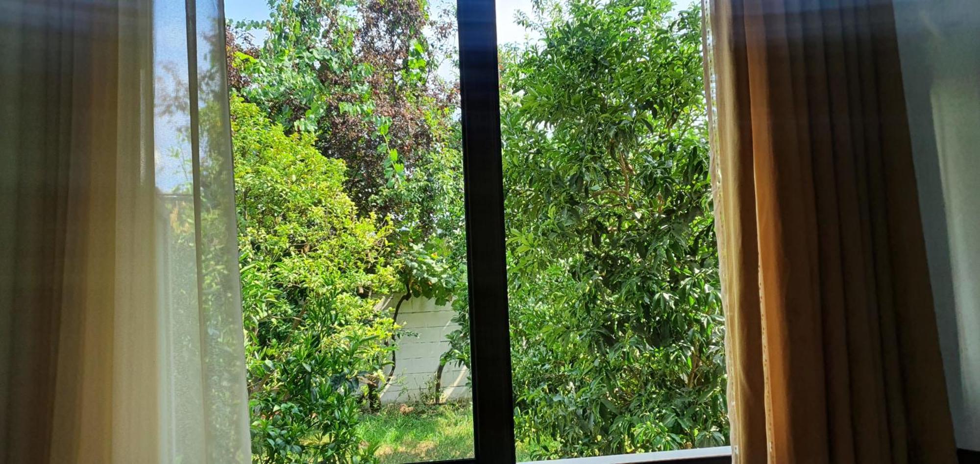Xho'S Forest Guest House Berat Room photo